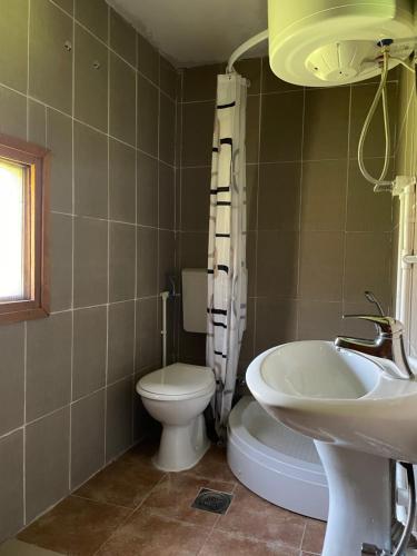 a bathroom with a toilet and a sink at Household Babovic - Old house Miljan's valley in Andrijevica