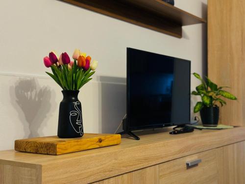 Televízia a/alebo spoločenská miestnosť v ubytovaní Holiday Home Manuela