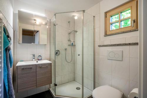 a bathroom with a shower and a toilet and a sink at Naturhäusle Oberschwaben in Ebersbach-Musbach