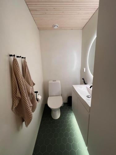 Un baño con un inodoro blanco y un lavabo. en Jäkälänhovin Huippu, en Kalajoki