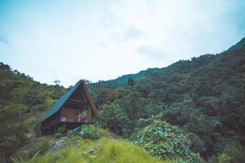 une petite maison en bois sur une colline dans une forêt dans l'établissement Ecolodge Cuentos de Agua, à Villamaría