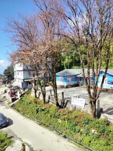 a group of trees on the side of a street at BLUE DUKE HOMESTAY in Ravangla