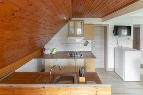 Apartments Bor tesisinde mutfak veya mini mutfak