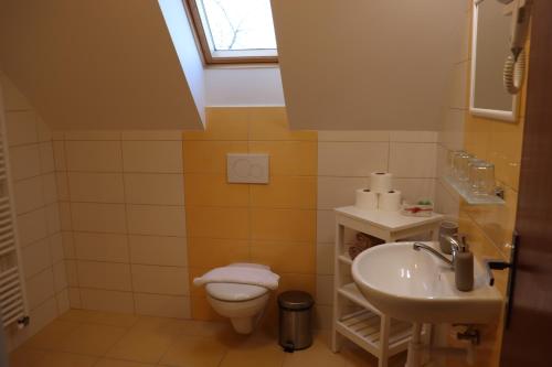 a bathroom with a toilet and a sink at Pension Florián in Pavlov