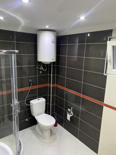a bathroom with a toilet and a shower at Apartman Pineta in Dobroselica