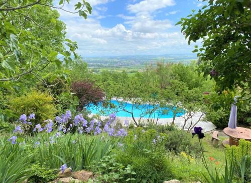 um jardim com flores roxas e uma piscina em Les Hauts de Jeanvert - Le Chêne - Piscine - Gaillac em Gaillac