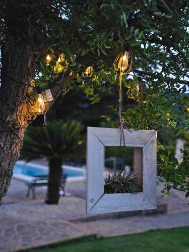 a picture frame hanging from a tree with lights at B&B Ferro di Cavallo in Tivoli