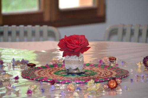 a vase with a red flower on a table at Gites de la Soulondre in Lodève