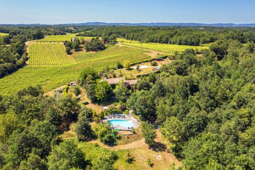 - une vue aérienne sur le domaine avec une piscine et un vignoble dans l'établissement Les Hauts de Jeanvert - Le Cèdre - Piscine - Gaillac, à Gaillac