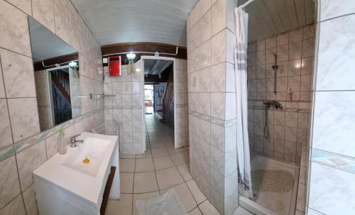 ein Bad mit einem Waschbecken und einer Dusche in der Unterkunft Grand gîte à la campagne in Missé
