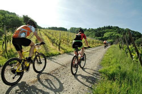 a group of people riding bikes down a dirt road at Ferienhaus mit Whirlpool und Sauna in Bernkastel-Kues
