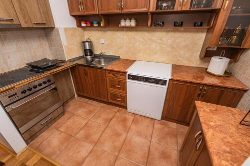 Kuchyň nebo kuchyňský kout v ubytování AZI Penthouse