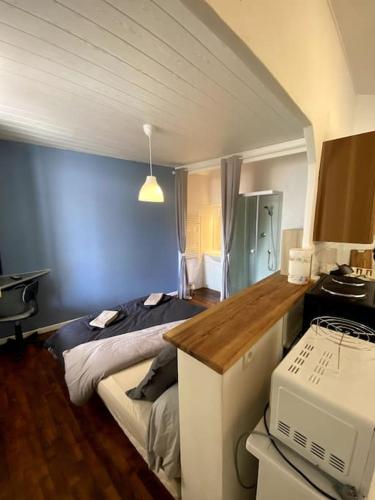 - une chambre avec un lit et un four micro-ondes dans l'établissement Studio Vichy, à Vichy