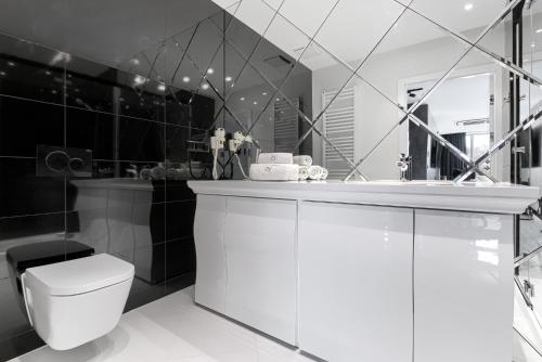 ミエルノにあるDune - Apartament Executive z prywatną saunąのトイレ、洗面台、鏡のあるバスルーム