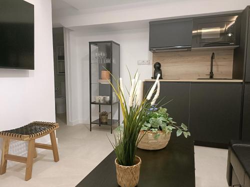 OILAN11 - Apartamento 4