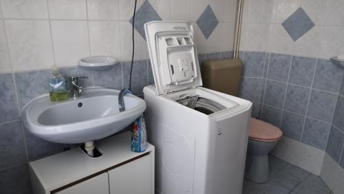 a bathroom with a washing machine next to a sink at Eszter-lak in Monostorapáti