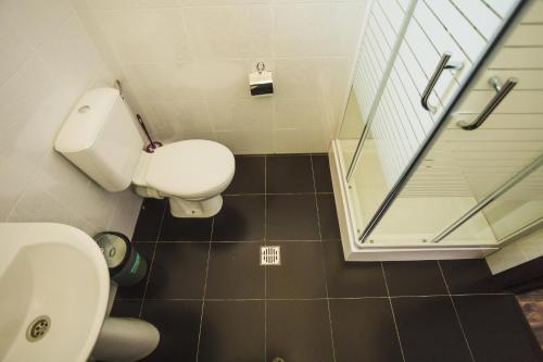 a bathroom with a toilet and a shower at Casa Cu Nuc in Brebeni