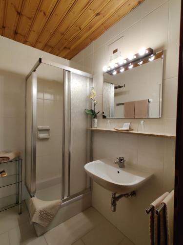 a bathroom with a shower and a sink at Appartementhaus Habich in Bad Kleinkirchheim