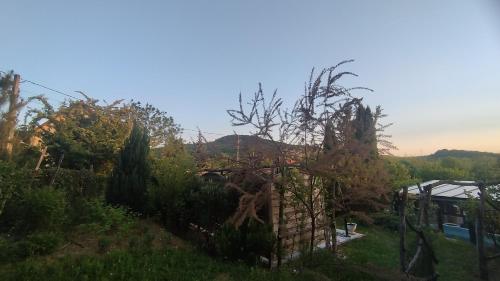 a tree that has fallen on a house at Eszter-lak in Monostorapáti