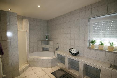 a bathroom with a shower and a tub and a window at Haus Pleidelsheim in Pleidelsheim
