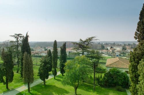 a group of trees in a field with a house at Villa Dragoni in Buttrio