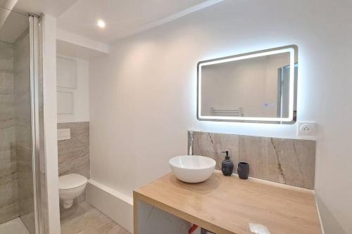 une salle de bain avec un lavabo, des toilettes et un miroir dans l'établissement Marbella, agreable appartement a Reims, à Reims