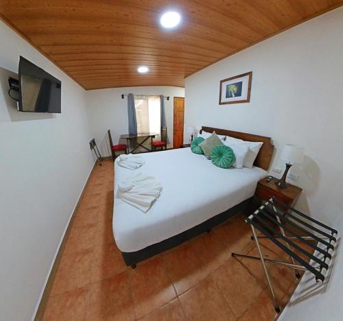 a bedroom with a bed and a television in it at Casa Jungle Monteverde B&B in Monteverde Costa Rica