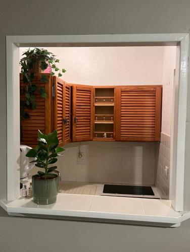 une cuisine avec des placards en bois et une plante en pot dans l'établissement Charmant & Cosy T2 Toulousain, à Toulouse