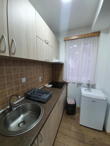 Kuchyň nebo kuchyňský kout v ubytování Apartmani Milutinovic