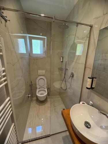 a bathroom with a shower and a toilet and a sink at Oda N'Bjeshke in Valbonë