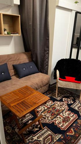 un salon avec un canapé et un chat sur une chaise dans l'établissement Cosy studio Paris Opera with lift Ascenseur, à Paris