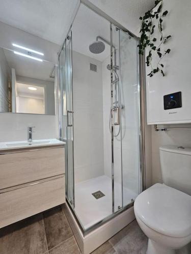 une salle de bain avec une douche, des toilettes et un lavabo dans l'établissement Joli & Cosy ! 4 Personnes, à Gruissan