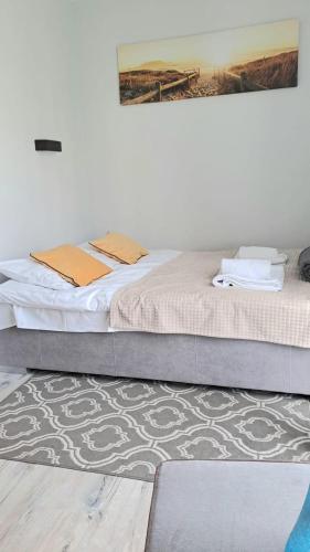 a bedroom with a bed and a rug at Aurora Apartament Gardenia in Międzywodzie