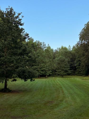 a field with a tree in the middle of it at Valmiera Riverside Retreat - Beverina Secret in Ķeiži