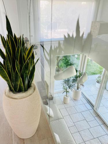 a vase with plants in a room with a mirror at Jesolo Beach Villa in Lido di Jesolo