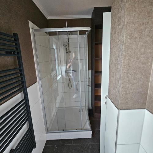 a shower with a glass door in a bathroom at Pochtas Fewo in Trier