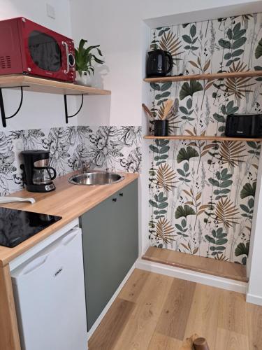 une petite cuisine avec un évier et un micro-ondes dans l'établissement Dépendance paisible, à Chauvé