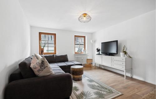 a living room with a couch and a tv at Stunning Apartment In Radolfzell in Radolfzell am Bodensee