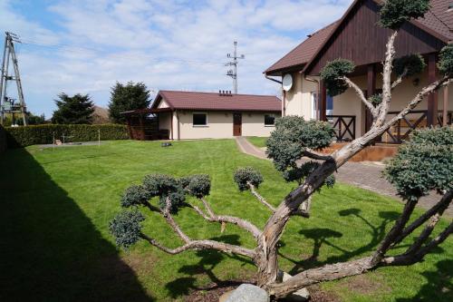 a dead tree in a yard next to a house at APartament Piaskowa in Gniewino