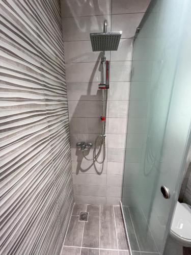 a bathroom with a shower and a sink at Irene' s Place in Olympia