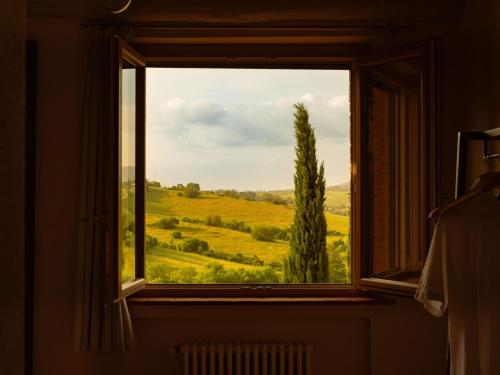 a window with a view of a field and a tree at Casale Sterpeti in Magliano in Toscana