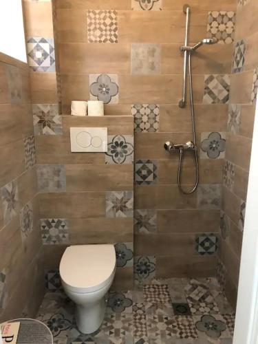 a bathroom with a toilet and a shower at Monolocale a Lesa - monolocale indipendente con divano letto e angolo cottura in Lesa