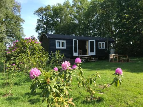 Κήπος έξω από το Pipowagen in Drenthe aan het Dwingelderveld