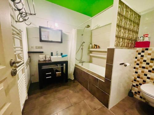 une salle de bain avec un lavabo, une baignoire et des toilettes dans l'établissement Le Loft de l Abbe, à Grenoble