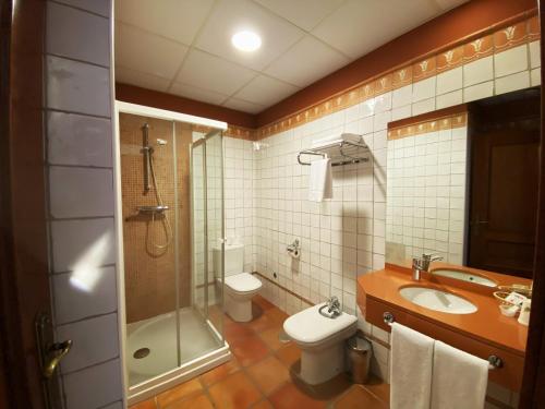 uma casa de banho com um WC, um chuveiro e um lavatório. em HOTEL EL RASTRO - Palacio Duque de Tamames - em Ávila