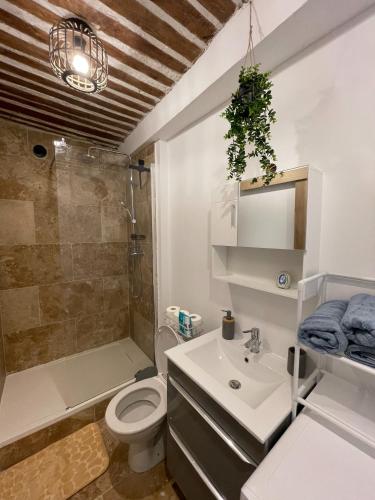 une salle de bain avec un lavabo, des toilettes et une douche dans l'établissement Le Nid d'abeille, la ruche rurale, à Manosque