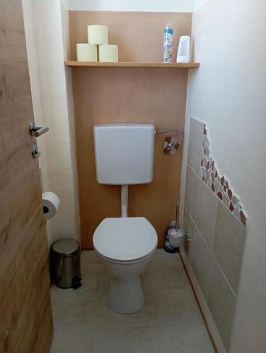 a bathroom with a toilet with a shelf above it at Ferienwohnung Lienbacher in Abtenau