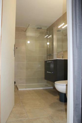 une salle de bain avec une douche, des toilettes et un lavabo dans l'établissement Location Les Aydons, à Sainte-Marguerite-Lafigère