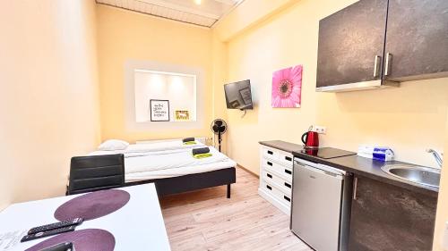 a small room with a bed and a sink at Kastanimaja Apartments in Tartu