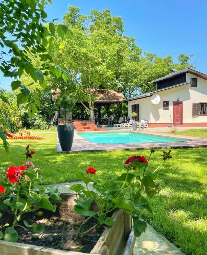 um quintal com piscina e flores vermelhas em Tranquila em Palić